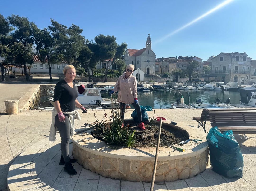 Radna akcija čišćenja mjesta